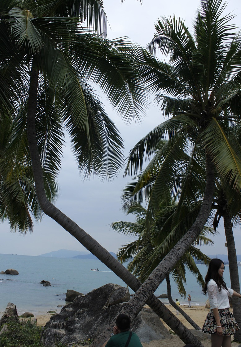 广州自驾去三亚旅游攻略,三亚自驾去新疆旅游攻略