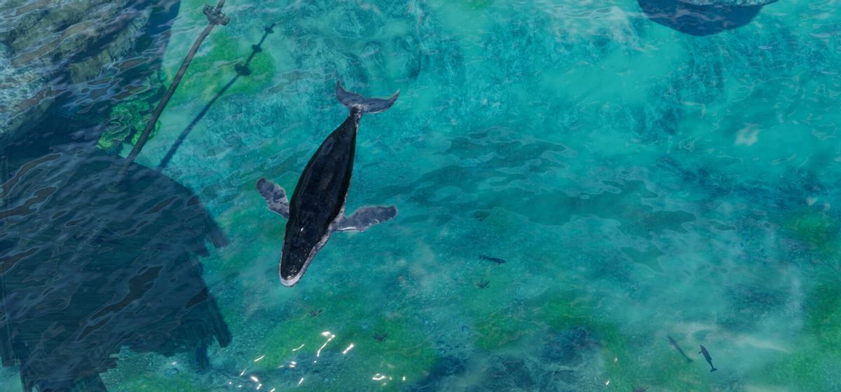 剑网三大唐三大风雅之地,剑网3雪橇三傻