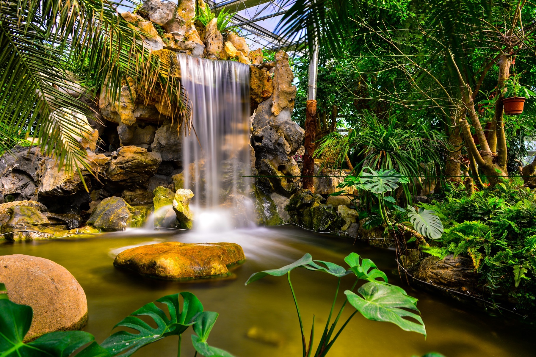 南通绿博园室内,南通绿博园风景