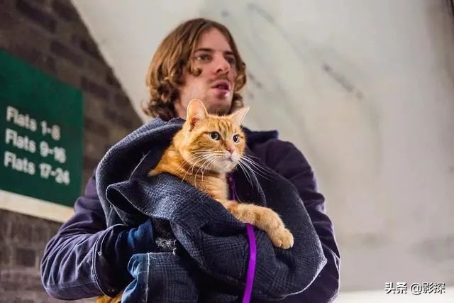 绁ㄦ埧榛戦┈鐩樼偣,绁ㄦ埧榛戦┈鍗囩骇鍥炲綊