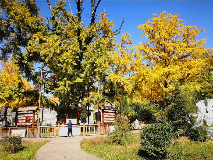 最全小学英语知识大全,小学英语知识汇总及讲解