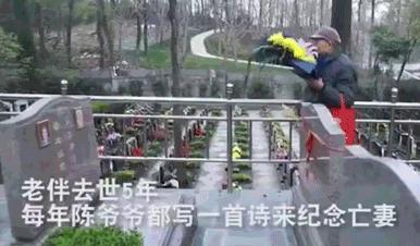 被偷*拍偷**下的20组画面：2019一整年的温暖，全都在这里了