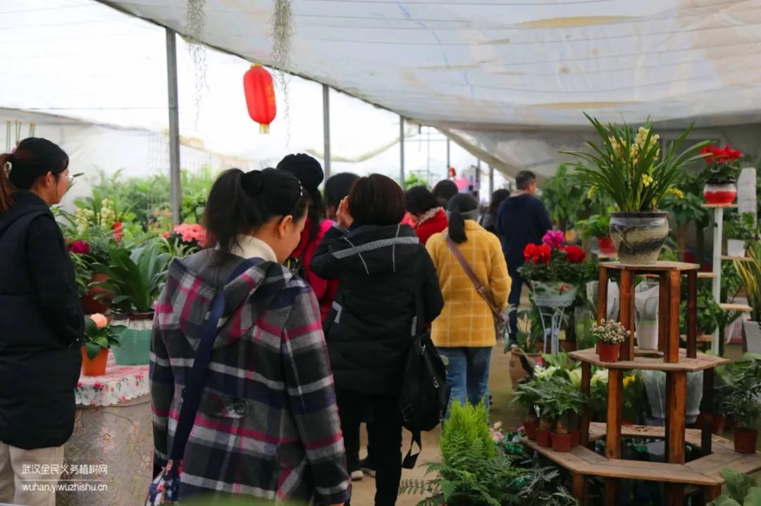 园艺沙龙|前方高能！一大波人相约逛花市，究竟淘了些啥？