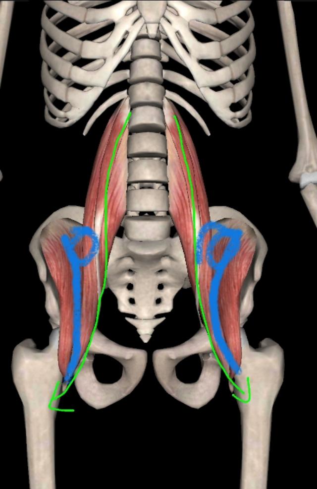 不懂拉伸就不懂健身,拉伸髂腰肌的正确要领