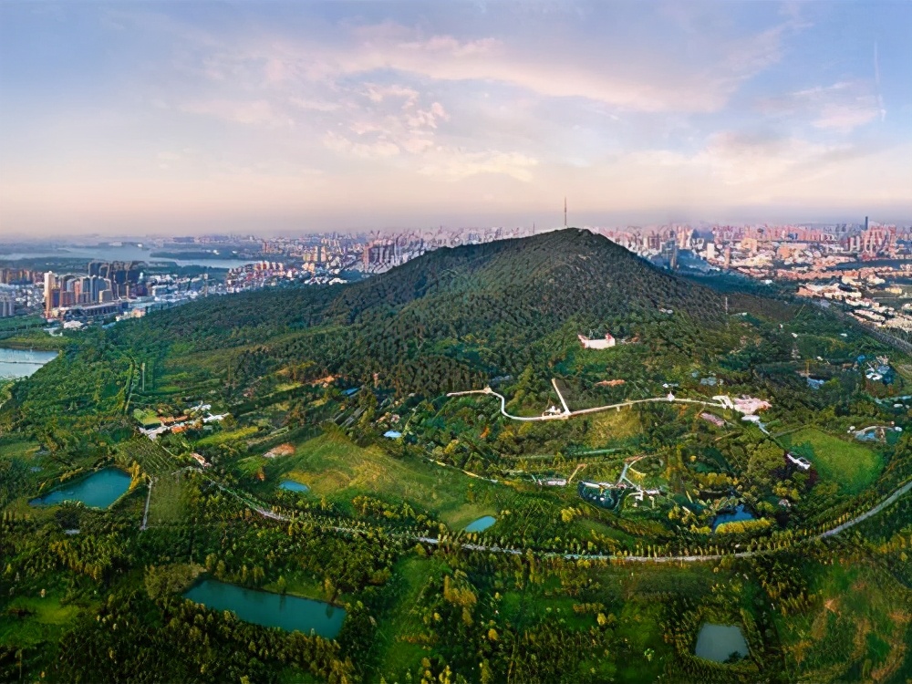 泸州旅游推荐景点大全最新,合肥旅游免费景区推荐