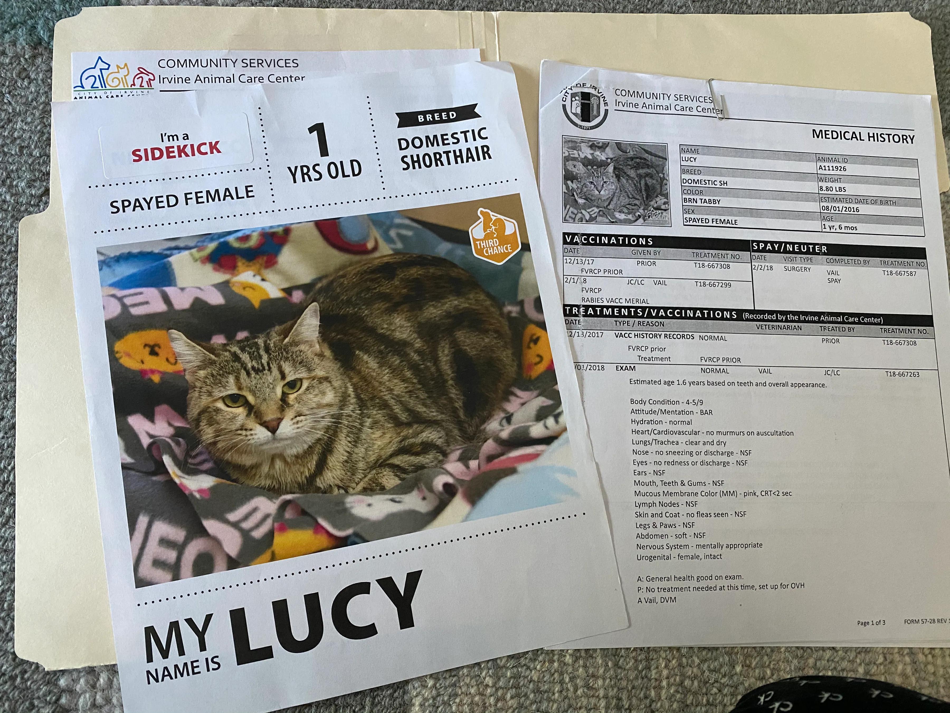 领养代替购买的内容,领养代替购买视频