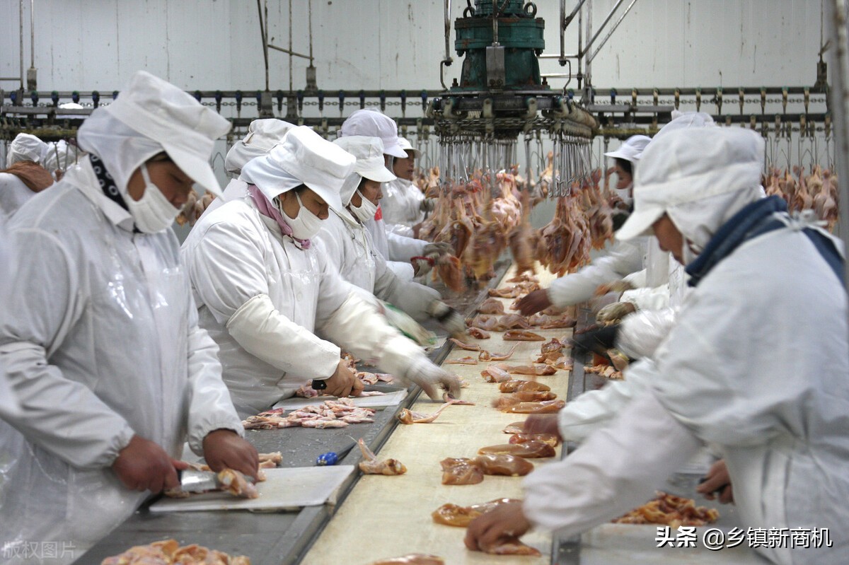 农村加工回收行业有什么项目,不愁销路的小型加工厂包回收