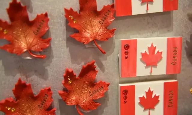 加拿大联邦ee申请条件,联邦移民申请难度大吗现在