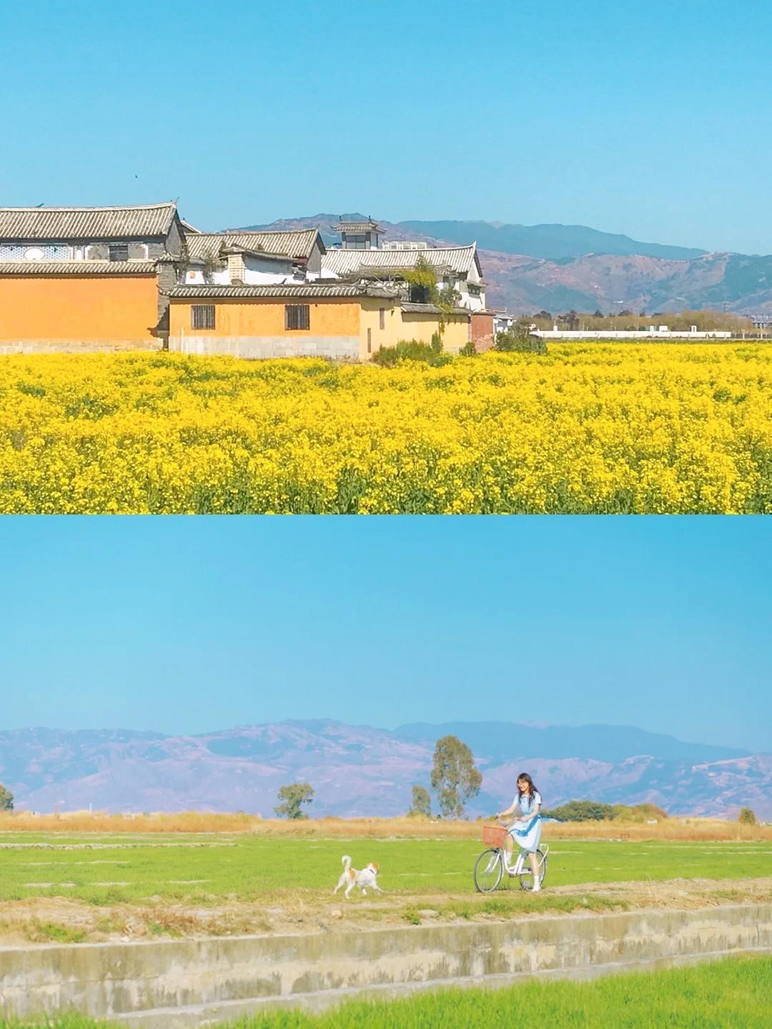 2月云南丽江大理自由行攻略,7月云南大理丽江旅游全攻略