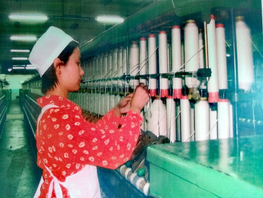 南棉老照片,南棉老照片大全