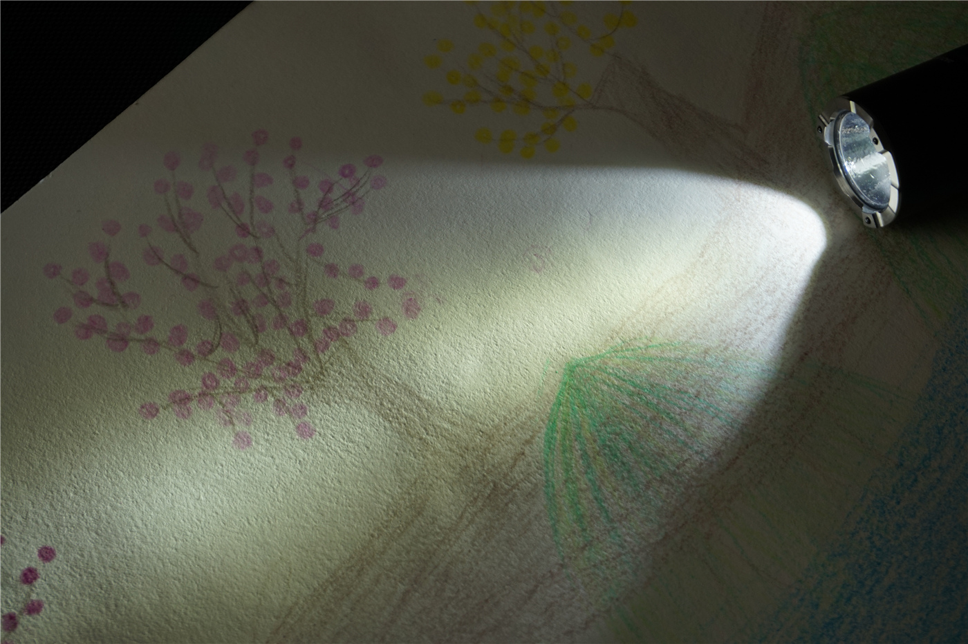 和纳丽德p80差不多的手电,手电王纳丽德p80夜间评测