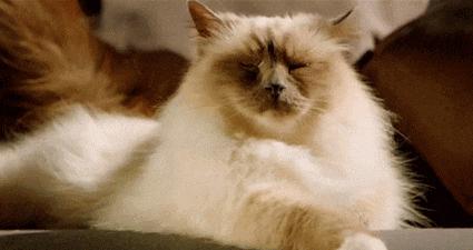 olay大红瓶和珂润修护面霜哪个好,科颜氏保湿清爽面霜蓝瓶测评