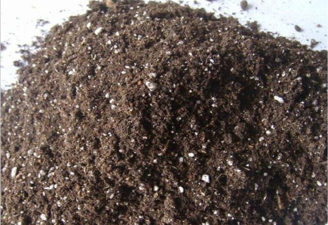 养啥花都好使不花钱的营养土,营养土哪种最好养