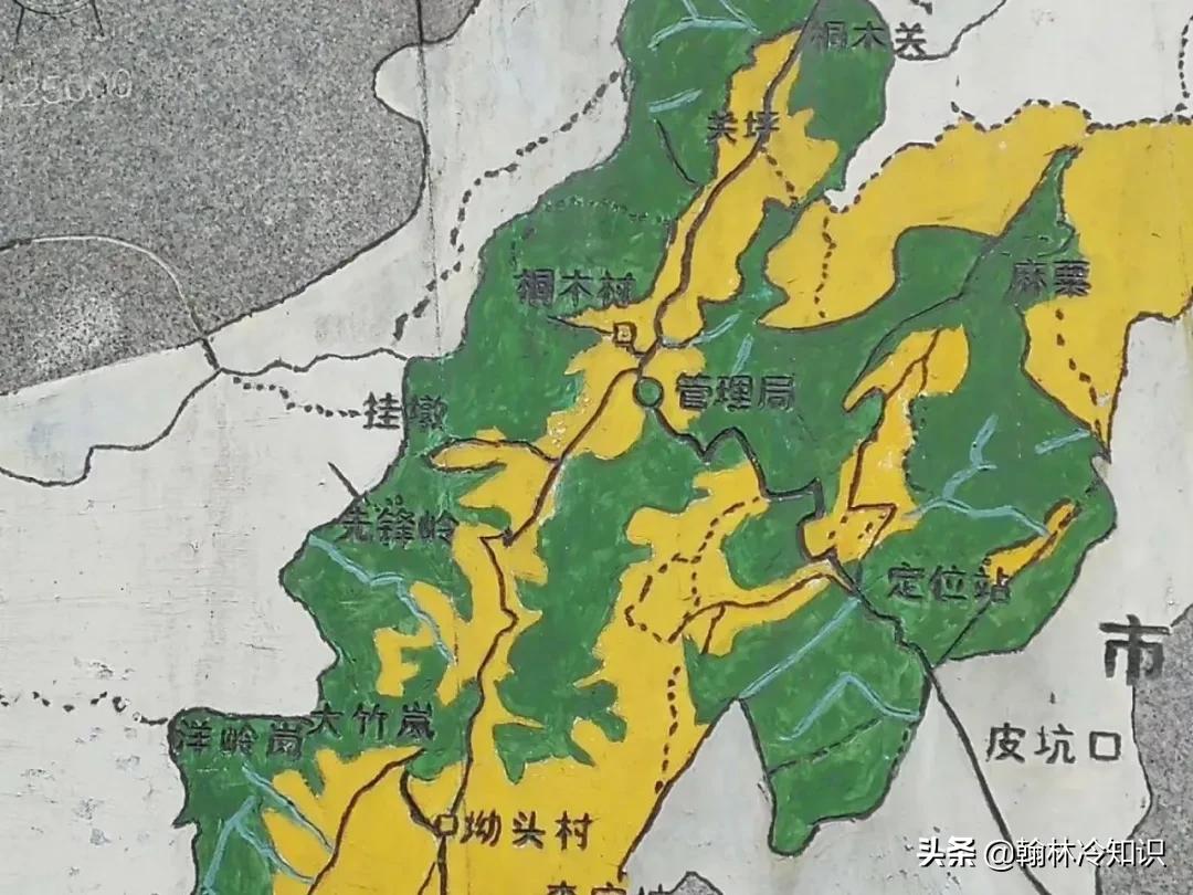 为什么中国人喜欢喝热茶,外国人为什么喝红茶不喝绿茶