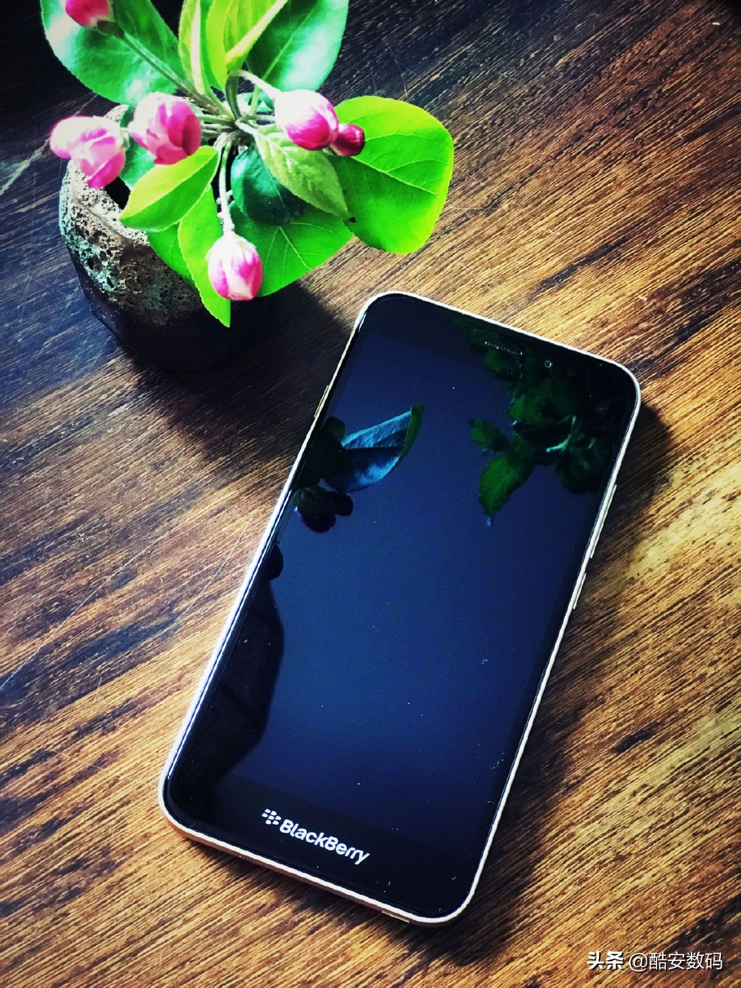 比冷门还冷门的番叫什么,黑莓aurora