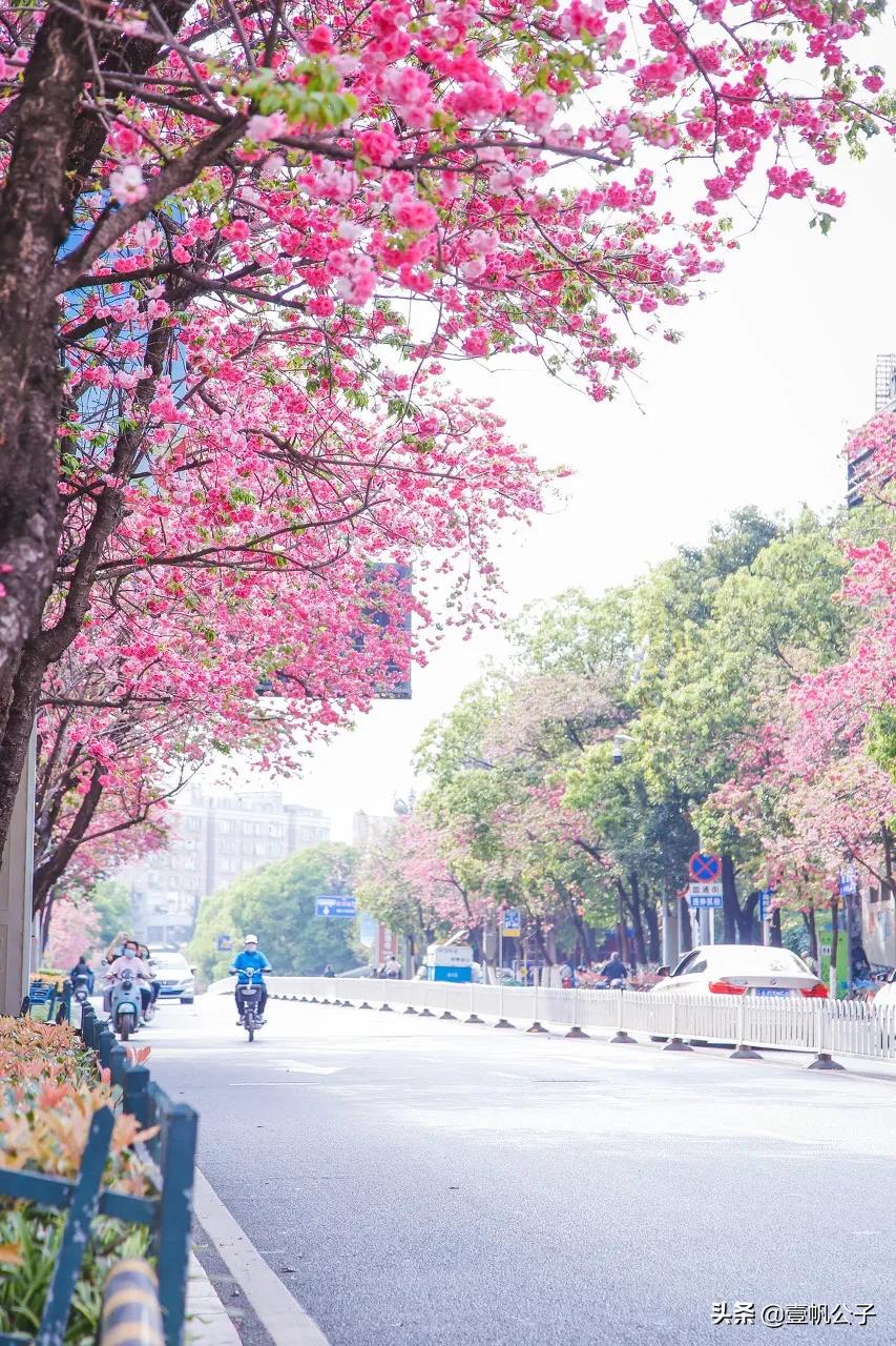 被大理的美景所折服,被丽江的风景美到了