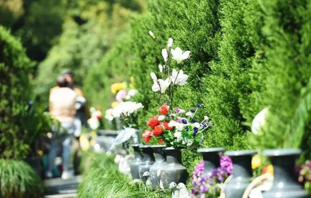 清明前三后四是指哪几天,今年清明前三后四什么意思