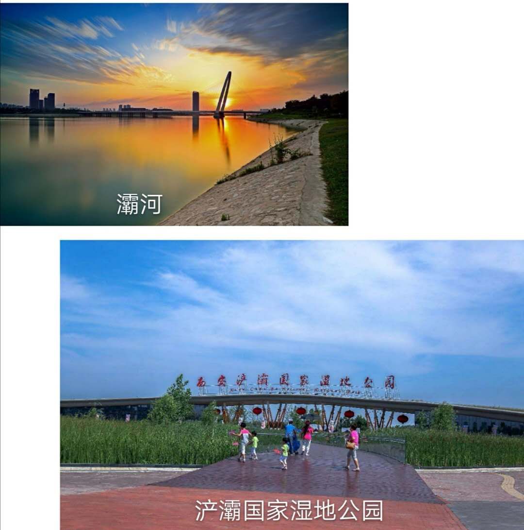 绿城全运村洋房顶跃,中粮奥体壹号和绿城全运村