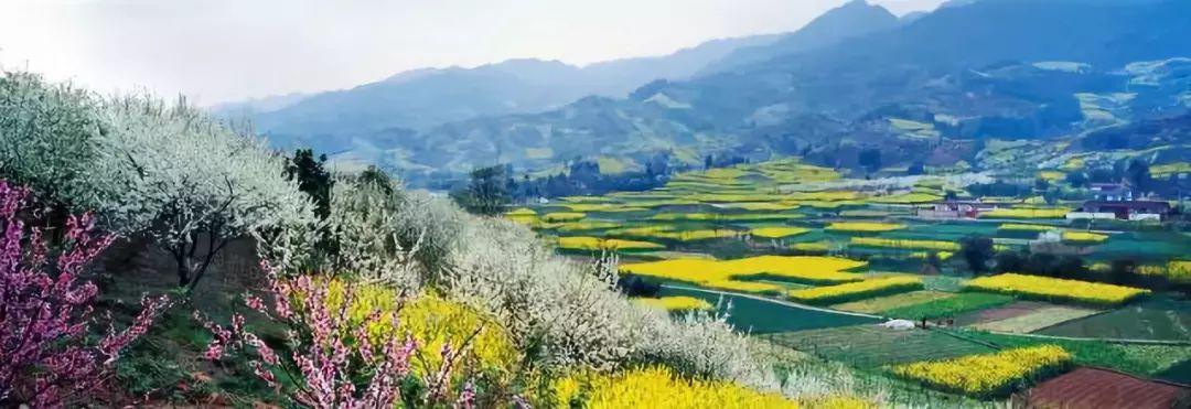 体育小镇之殇:某国资急售2家亏损公司,涉无锡、桐庐项目