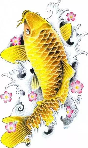 转运锦鲤简笔画,简笔画100种锦鲤图片