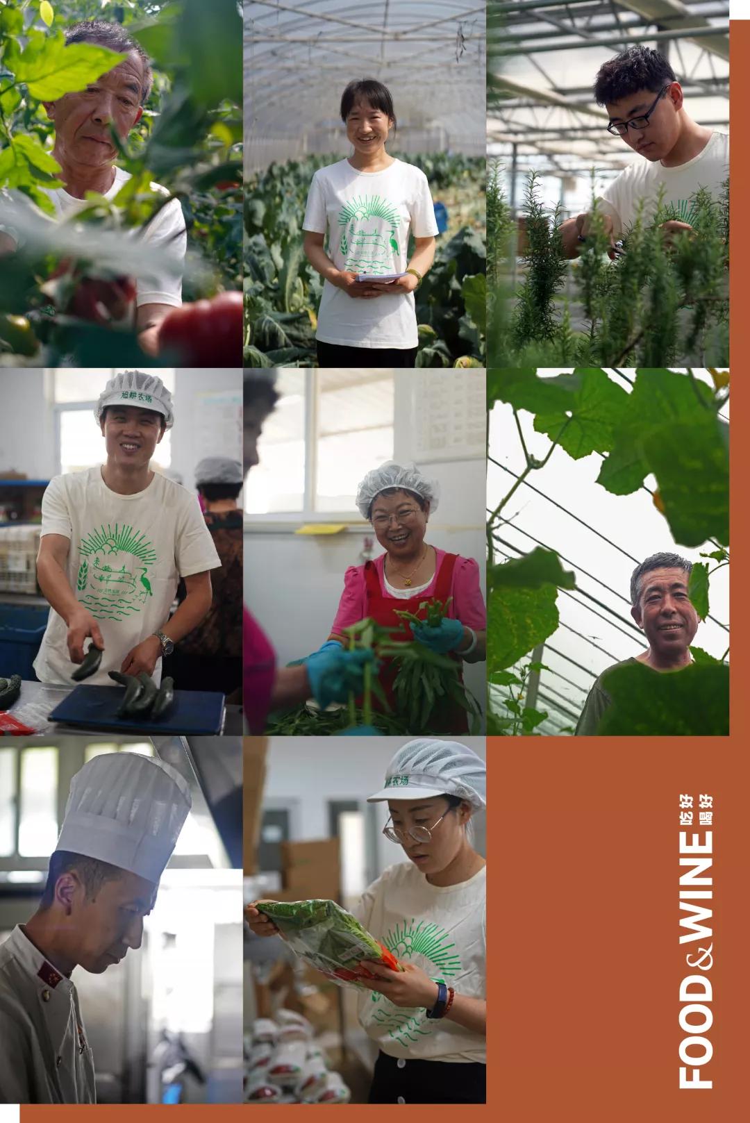 有机蔬菜为什么这么难,有机蔬菜如何种植