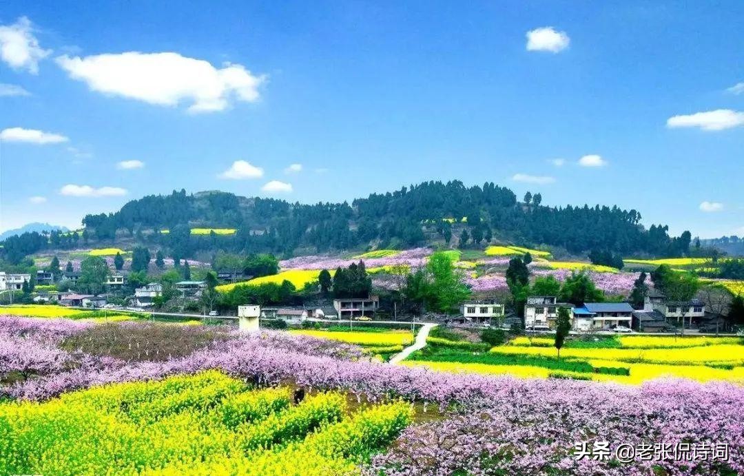 程颢最著名的哲理诗,程颢诗大全