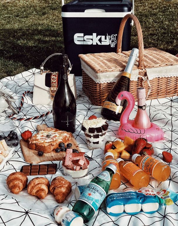 新晋网红打卡地池杉林,小红书网红打卡点