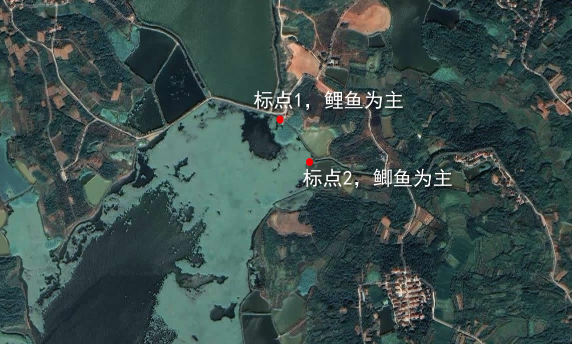 斧头湖咸宁段有哪些钓点,斧头湖咸宁钓位