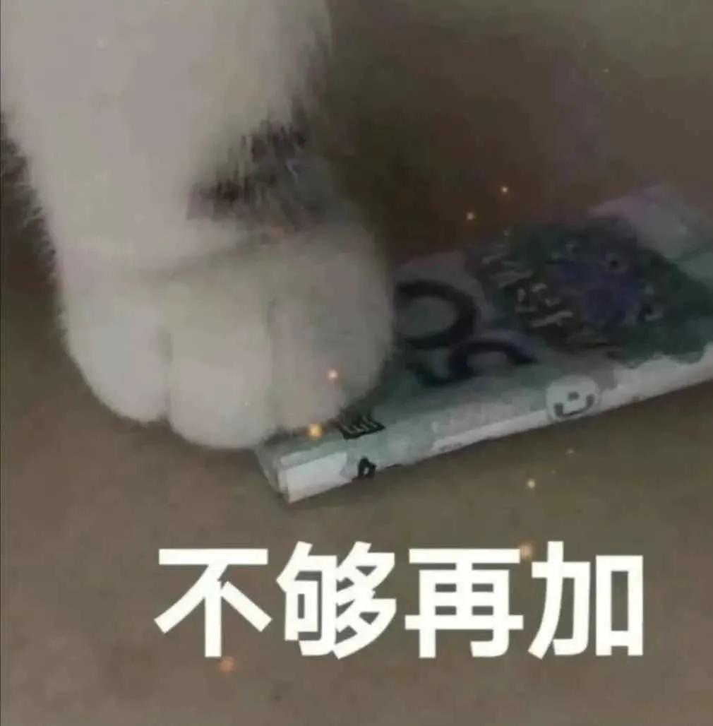 虞书欣各部戏的反差,虞书欣惊呆现场视频