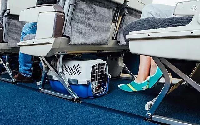 网红爆款踩屎感鞋,踩屎感休闲鞋爆红户外