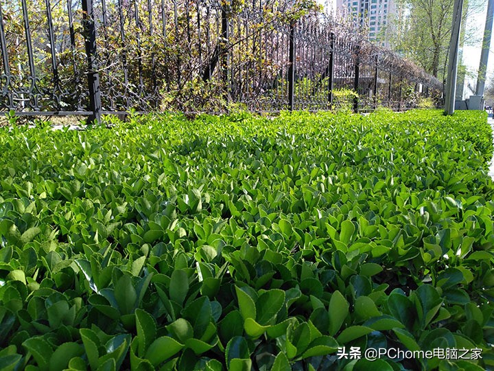 5500毫安电池用5v可以用多久,5500毫安电池能用多久