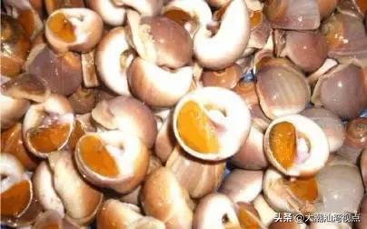 作为潮汕人，这89种海鲜你都能对上号吗