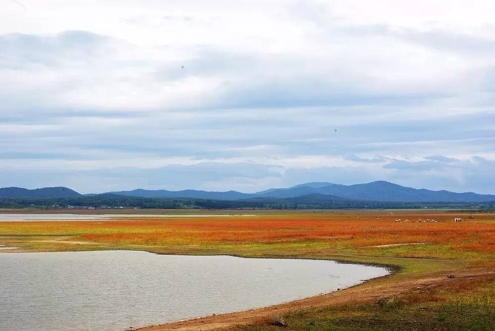 有人问你：哈尔滨哪个区（市）县最大哪个最小？都有啥？你知道不