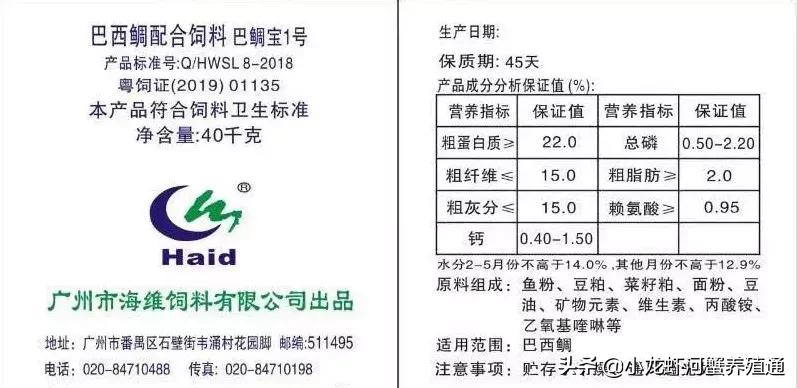 牛！这桂花鱼的饵料鱼新品种，产量远超鲮鱼仔