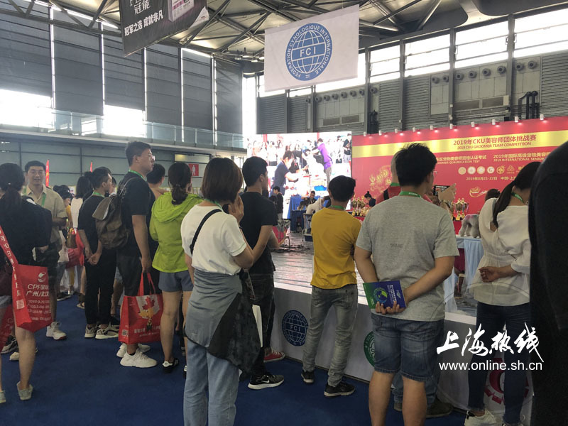 亚洲宠物展2022直播,亚洲宠物展会直播