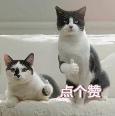 富德生命人寿在中国500强排第几,富德生命人寿保险排名全国多少强