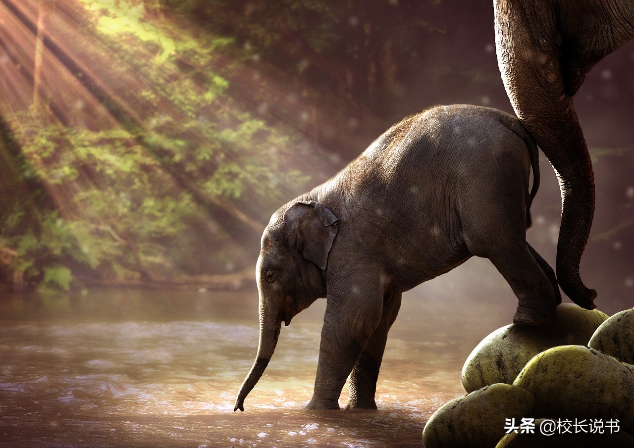 对付95后员工的管理模式,职场上如何管理95后