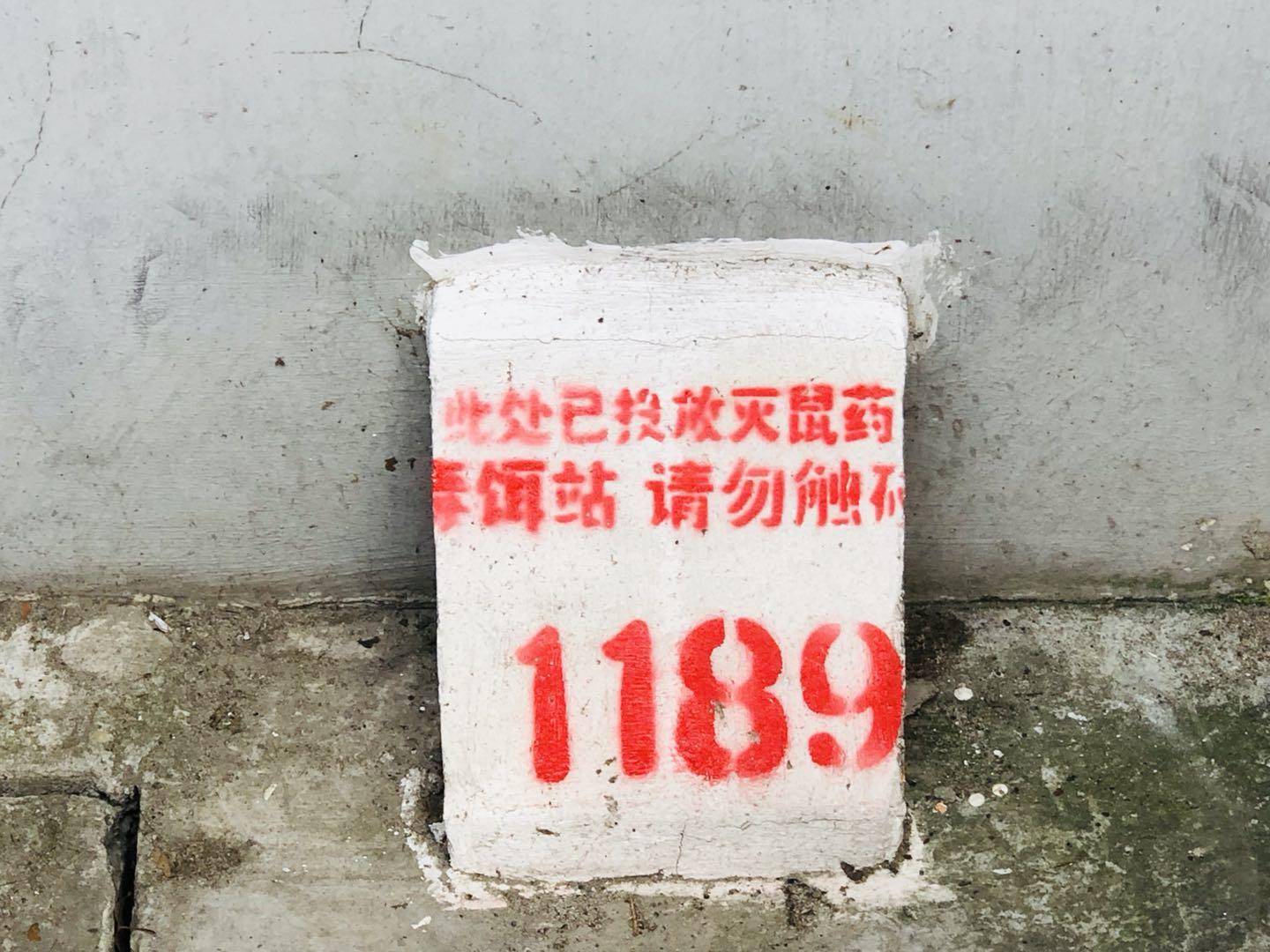 出动一百多次督查，南京“四害”的密度又降低了