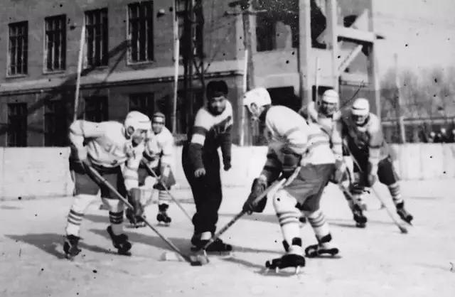 为什么打冰球容易打架,为什么打冰球的都是东北的