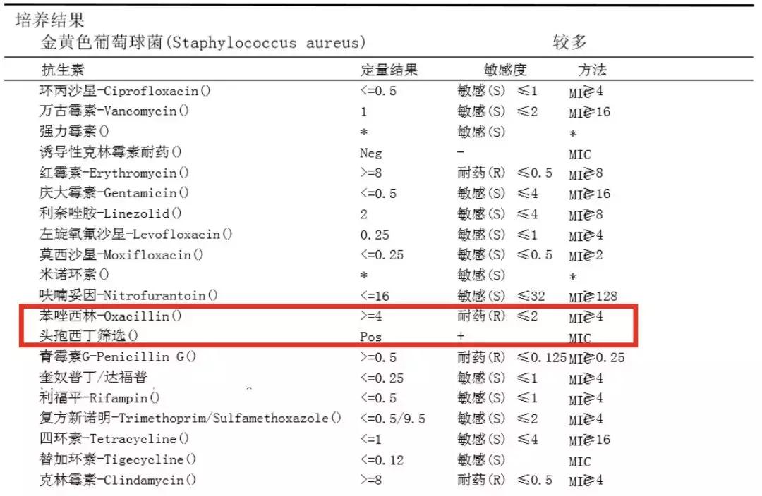 万古霉素用于mrsa的作用机制,万古霉素无效还有什么抗生素可用