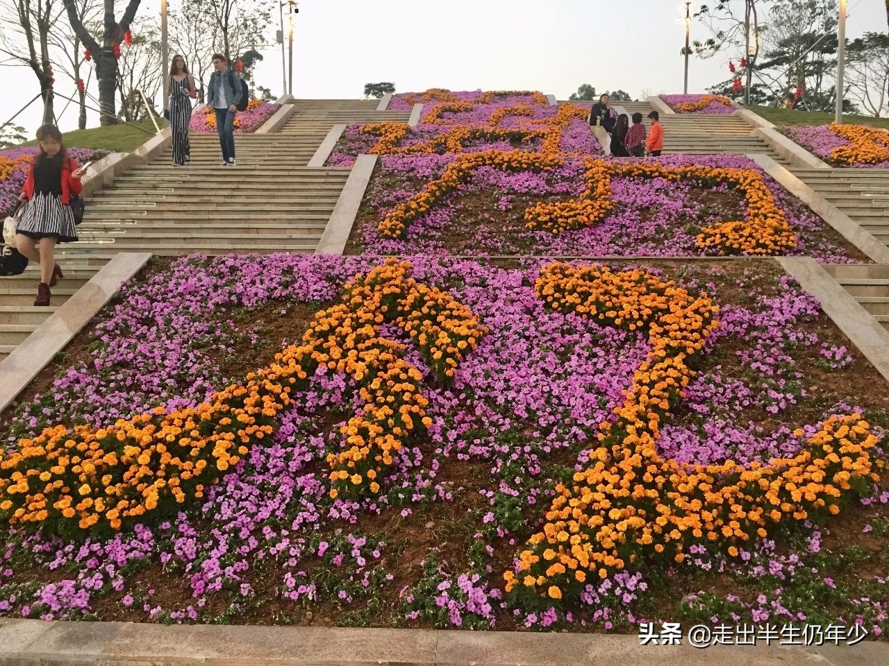深圳有多少个公园景点,深圳室内足球场