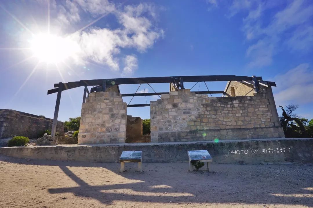 赴澳洲需要买的东西,去澳洲探亲要提供无犯罪记录吗