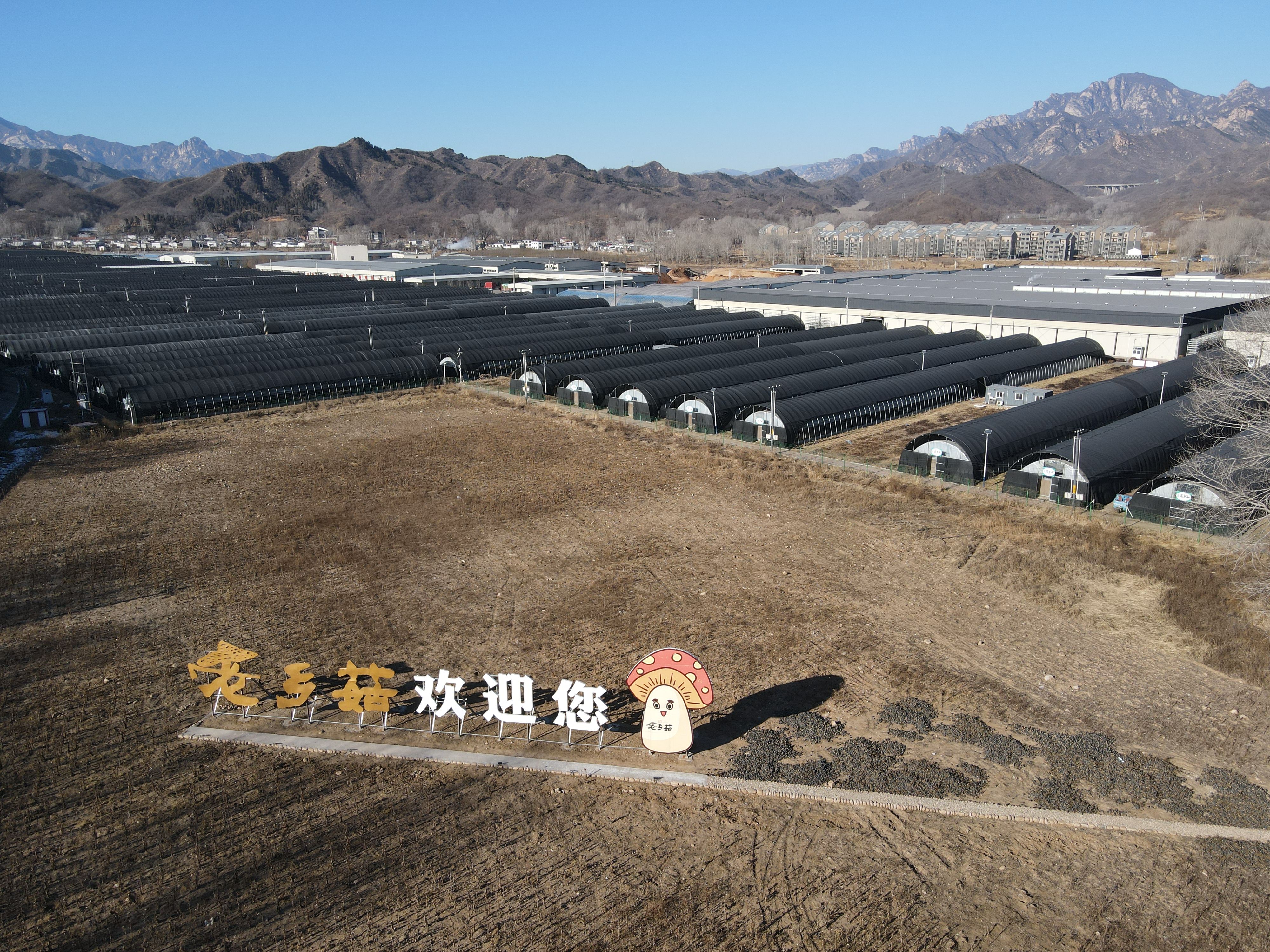 回望脱贫路⑧丨八年之后曾经的国家级贫困县阜平什么样了？