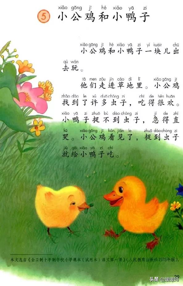 一年级下小公鸡和小鸭子课文重点,小公鸡和小鸭子一年级下册视频