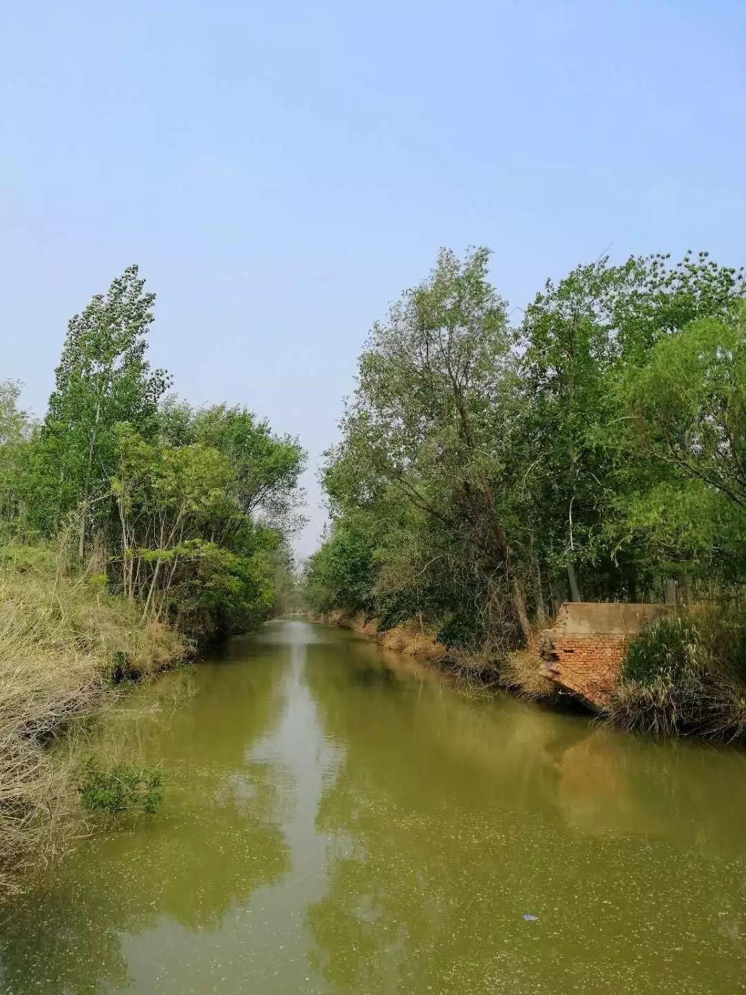 一个心灵的栖息地——游冠县马颊河生态旅游度假区有感