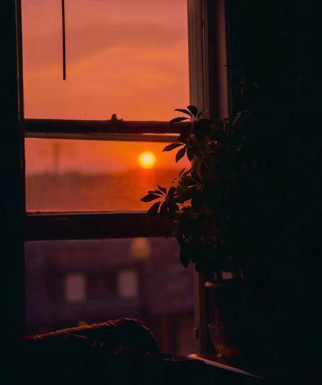 斑驳的光影,斑驳的光影灿烂而明丽