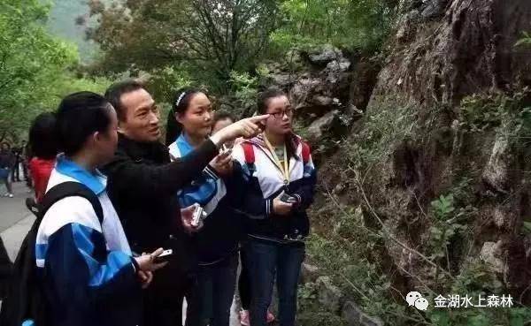 亲子游推荐地金湖水上森林景区,金湖水上森林景区攻略视频