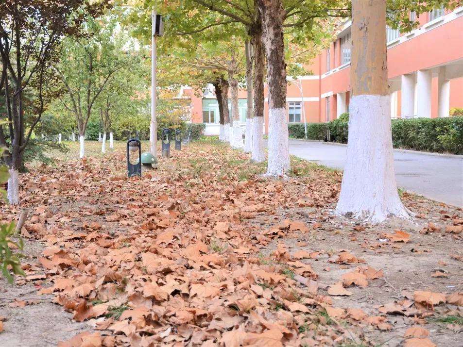 北京科技大学天津学院原独立学院,北京科技大学天津学院独立学院