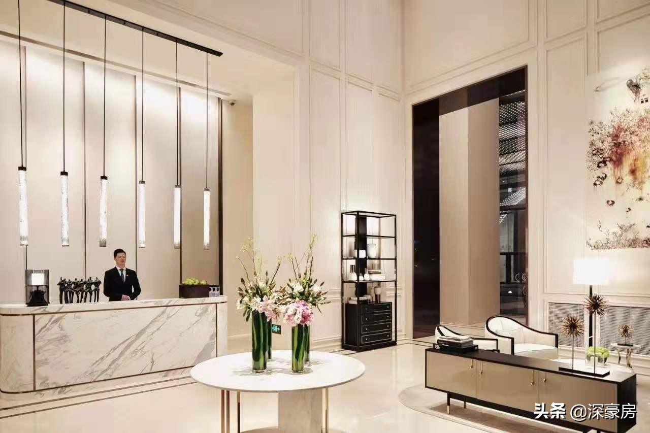 深圳湾一号豪宅值得去吗,深圳顶级深圳湾一号顶奢豪宅设计