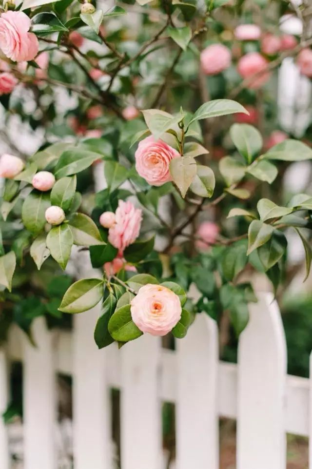 爱旅行的女人经典感言,爱旅行的女性心理